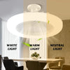 Ventilateur plafonné LED : L'Innovation 2-en-1 pour un Confort Optimal