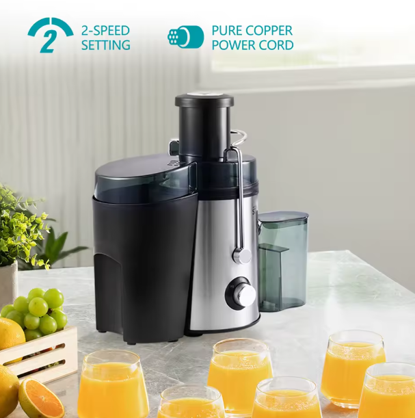 Extracteur de jus 500ml Winning star